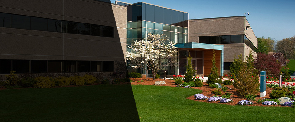 Thayer Landscapers
