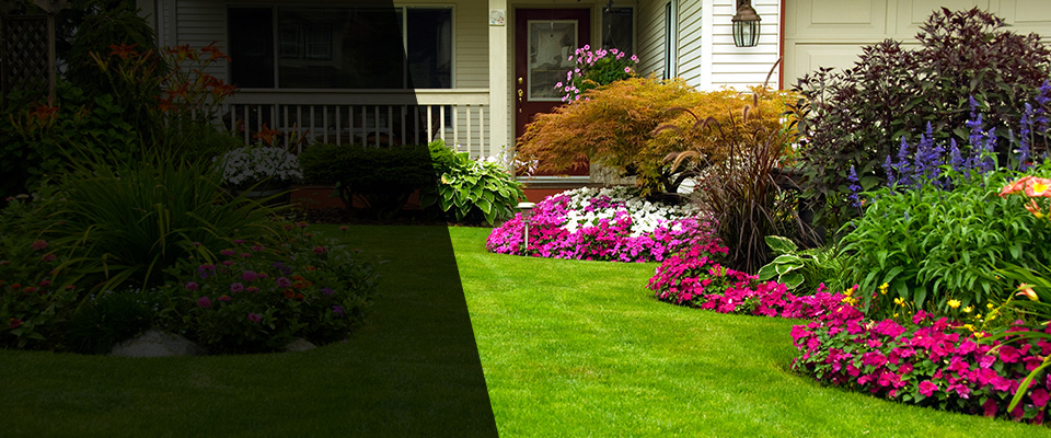 Thayer Landscapers