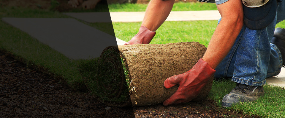 Thayer Landscapers